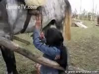 Beautiful Brunette Sucks a Horse's Dick